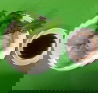 Red Ribbon Noodle  Rice - Accommodation in Surfers Paradise