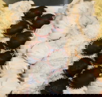 Uber Caf - Accommodation in Surfers Paradise