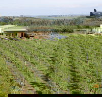 Dindima Wines - Accommodation in Surfers Paradise