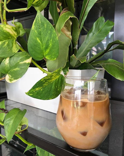 Ground Stone Cafe - Accommodation in Surfers Paradise 0