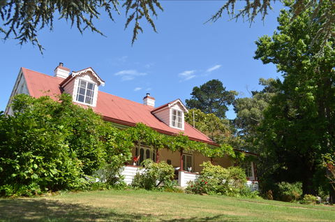 Lazy Teas - Accommodation in Surfers Paradise 0