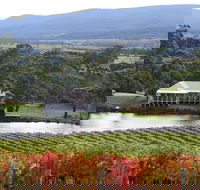 Milton Vineyard - Accommodation in Surfers Paradise
