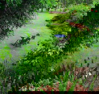 Emerald Springs - Accommodation in Surfers Paradise