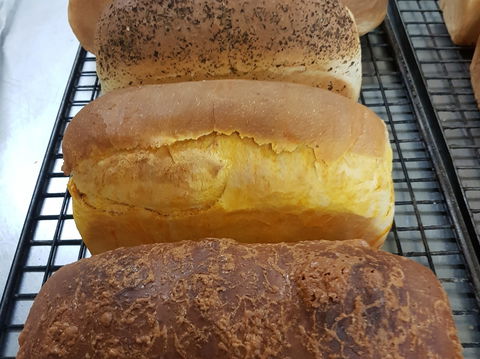 Plantation Organic Bakery - Accommodation in Surfers Paradise 0