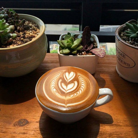 V Espresso - Accommodation in Surfers Paradise 0