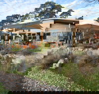 Alpine Larder Cafe - Accommodation in Surfers Paradise