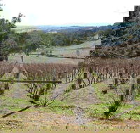 Habitat Vineyard - Accommodation in Surfers Paradise
