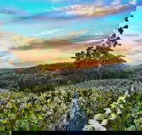 Between the Vines Cellar Door - Accommodation in Surfers Paradise