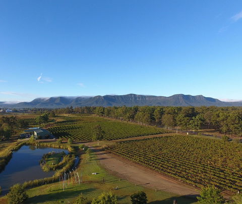 Mistletoe Winery - Accommodation in Surfers Paradise 0