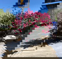 Alpine Gate Cafe - Accommodation in Surfers Paradise