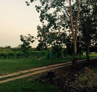 Brierley Wines - Accommodation in Surfers Paradise