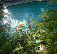 Avoca Beach Hotel - Accommodation in Surfers Paradise