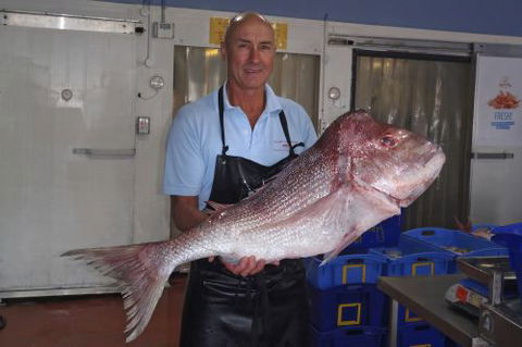 Northern Rivers Seafood - Accommodation in Surfers Paradise 3