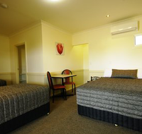 Park Avenue Hotel-Motel - Accommodation in Surfers Paradise
