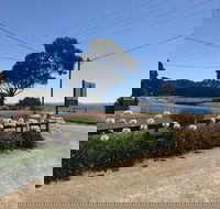 Penguin  Pardalote Coffee House - Accommodation in Surfers Paradise