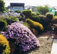 Pipers River Tea House and Crafts - Accommodation in Surfers Paradise