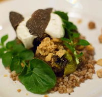 Foragers - Accommodation in Surfers Paradise