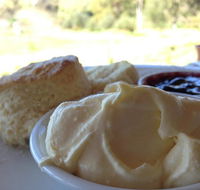 Tanglefoot Winery Cafe - Accommodation in Surfers Paradise