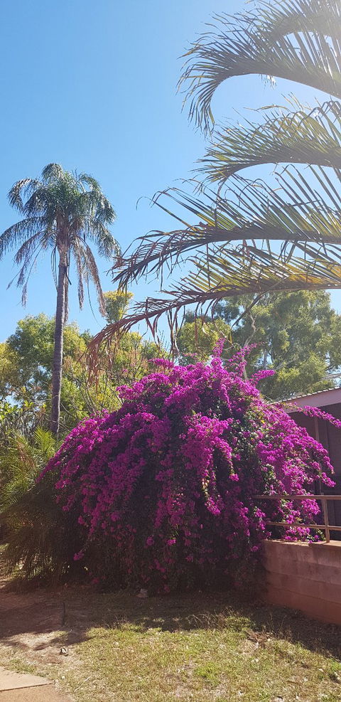 The Pickled Bean - Accommodation in Surfers Paradise 1