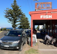 Fish - Accommodation in Surfers Paradise