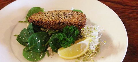 Bonappetite Cafe - Accommodation in Surfers Paradise 2