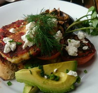 Green Turtle Cafe  Bar - Accommodation in Surfers Paradise