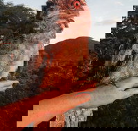 Cafe Anywhere - Accommodation in Surfers Paradise