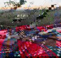 Bunnyconnellen Olive Grove  Vineyard - Accommodation in Surfers Paradise