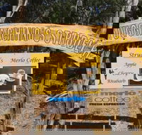 Muggachinno's - Accommodation in Surfers Paradise