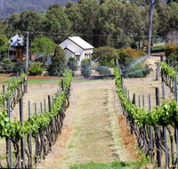 Prendergasts Irish Tavern - Accommodation in Surfers Paradise