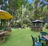 Rainforest - Accommodation in Surfers Paradise
