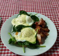 The Shed Cafe - Accommodation in Surfers Paradise
