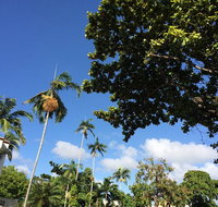 Whileaway Bookshop  Cafe - Accommodation in Surfers Paradise