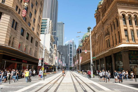 YEHS Hotel Sydney Harbour Suites - Accommodation in Surfers Paradise 2