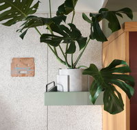 ACE Hotel Sydney - Accommodation in Surfers Paradise