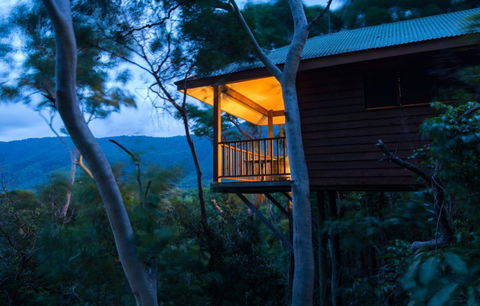 Thala Beach Nature Reserve - Accommodation in Surfers Paradise 0