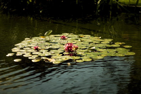 University House - ANU - Accommodation in Surfers Paradise 17