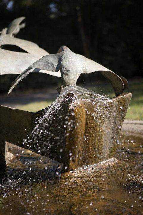 University House - ANU - Accommodation in Surfers Paradise 30