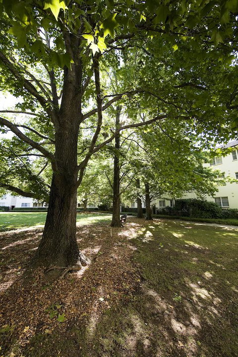 University House - ANU - Accommodation in Surfers Paradise 28