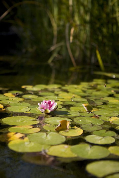 University House - ANU - Accommodation in Surfers Paradise 35