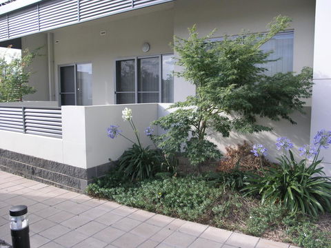 Kesh At Aamira - Accommodation in Surfers Paradise 16