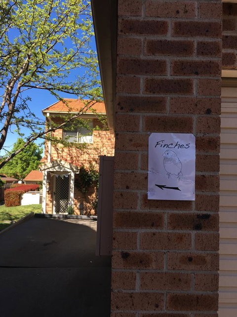 Finches Canberra - Accommodation in Surfers Paradise 6