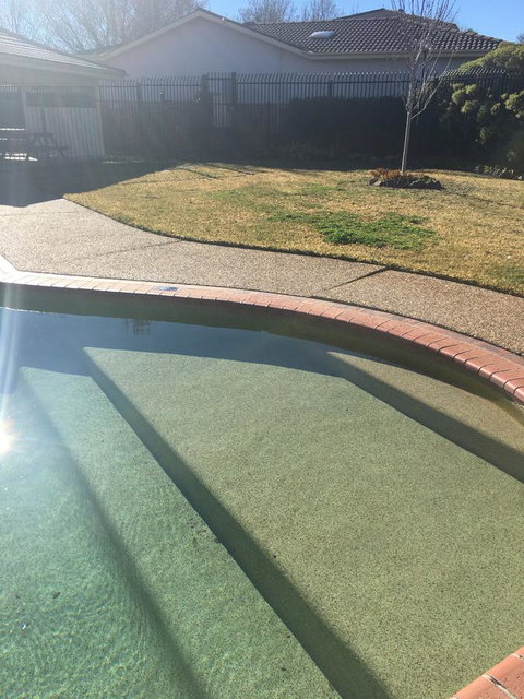 Finches Canberra - Accommodation in Surfers Paradise 35