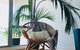 Staying Places - The Avenue - thumb 14
