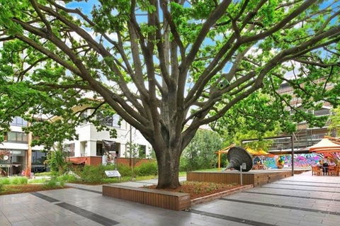 Canberra Luxury Apartment 3 - Accommodation in Surfers Paradise 29