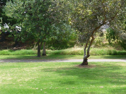 Victor Harbor Holiday Park - Accommodation in Surfers Paradise 24