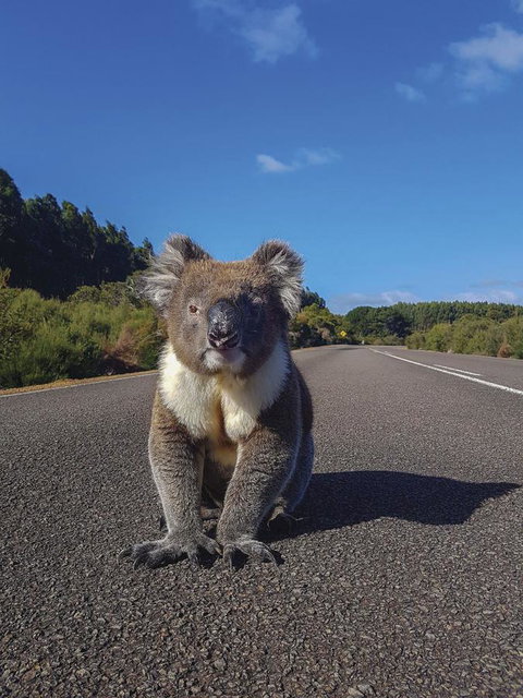 Kangaroo Island Seafront - Accommodation in Surfers Paradise 14