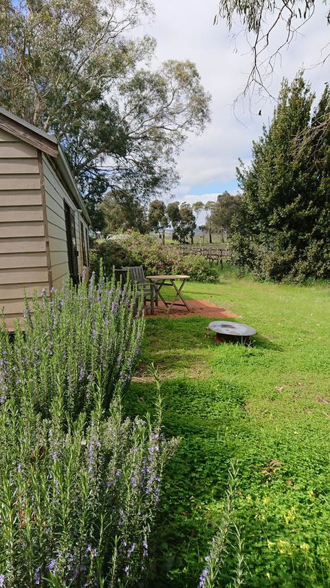 Lost In The Vines - Accommodation in Surfers Paradise 22