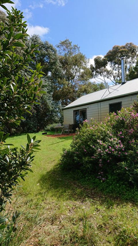 Lost In The Vines - Accommodation in Surfers Paradise 26