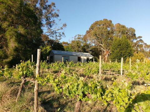 Lost In The Vines - Accommodation in Surfers Paradise 25